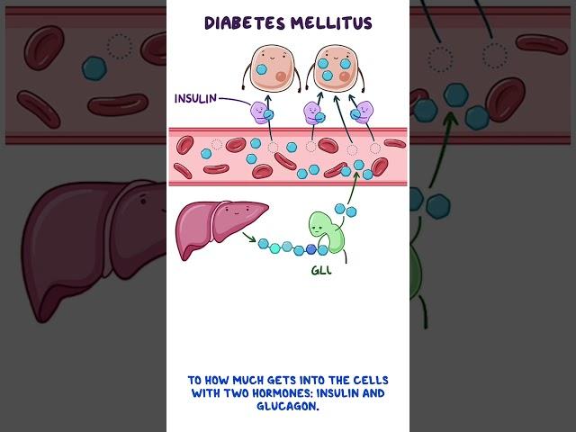 Clinical Cuts: Diabetes mellitus