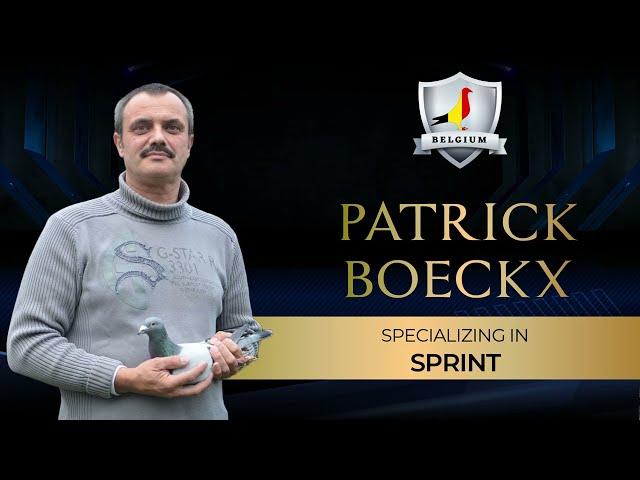 PATRICK BOECKX BELGIUM PIGEON  LOFT TOUR VIDEO (2023)