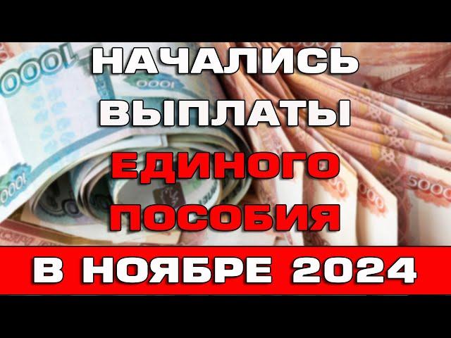 Начались выплаты Единого пособия в ноябре 2024 Ответы на вопросы