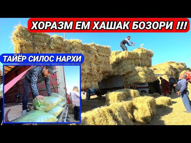 СИЛОС, КУНЖАРА, КЕПАК, ШРОТ, СОМОН, ХОРАЗМ ЕМ ХАШАК БОЗОРИ УРГАНЧ ГОЙБУ 24-сентябрь 2023 г.