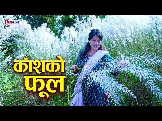 काँशको फूल (Kansh Ko Phool) || Kansh's flower || काँशको फूलको पुतली || New Video 2024/2081