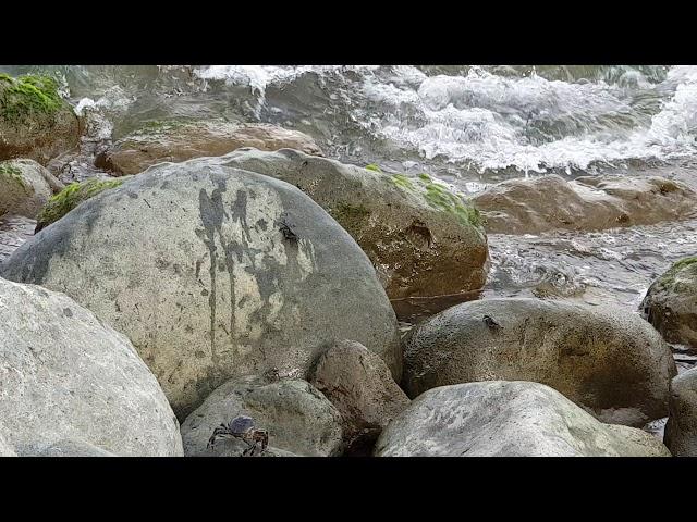 Помощь родителям, чтобы дети пописали,звук струи воды,чтобы ребенок пописал,Журчалка для горшка