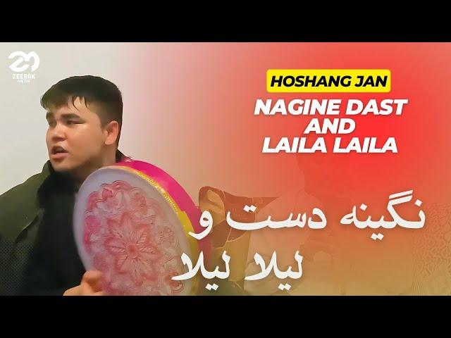 اهنگ میکس - نگینه دست و لیلا لیلا | هوشنگ جان‌ - اهنگ جدید افغانی | Nagine Dast and Laila Laila