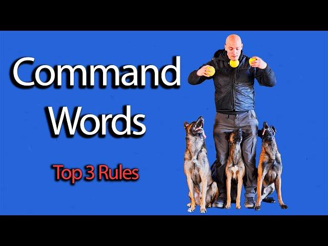 Top 3 Rules for Commands