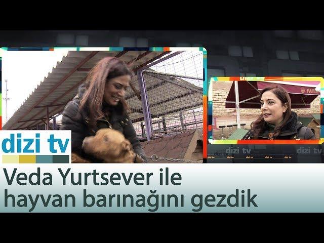 Veda Yurtsever ile hayvan barınağını gezdik - Dizi Tv 583. Bölüm