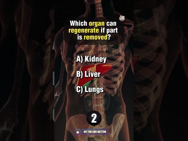 Ultimate Anatomy Quiz!