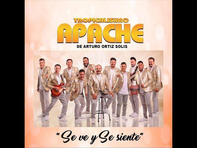 Tropicalisimo Apache - Cinco de Te