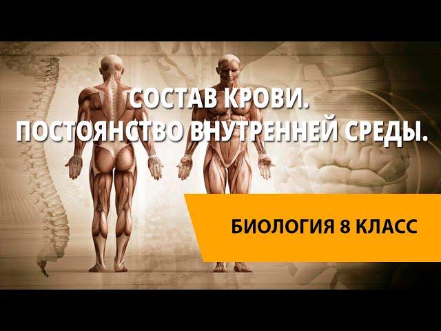 Состав крови. Постоянство внутренней среды