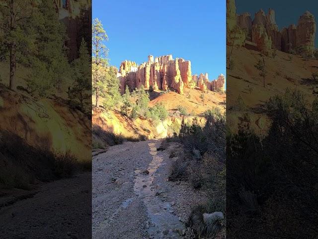 Mossy Cave Trail Bryce Canyon National Park #utah #nationalpark