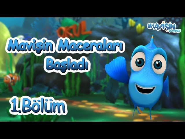 Mavişin Dünyası 1. Bölüm - Gümüş Kayboluyor