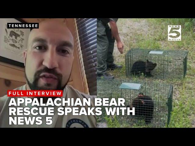 Appalachian Bear Rescue provides information on controversial bear cub release