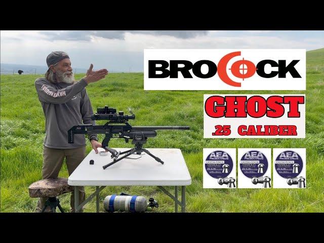 BROCOCK GHOST HP .25 CAL @ FOX AIR POWER - OUTDOOR TARGET SHOOTING DAY W/AEA CENTER PUNCH AMMO