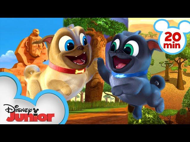 Bingo and Rolly Travel Around Africa! | Compilation | Puppy Dog Pals | Disney Junior