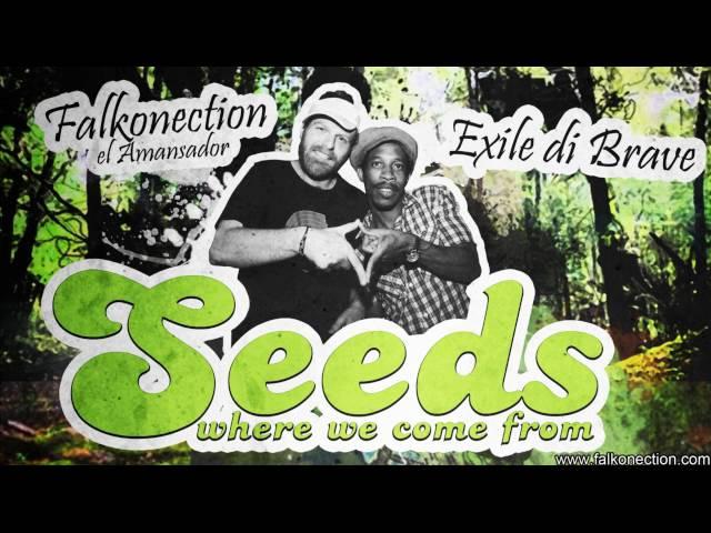 Seeds - where we come from - Exile di Brave feat. Falkonection el Amansador (El Amansador vol.2)