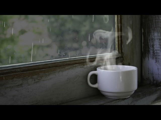 Mello Rain and Hot Mug | Relaxing Ambience for Stress Relief and Sleep