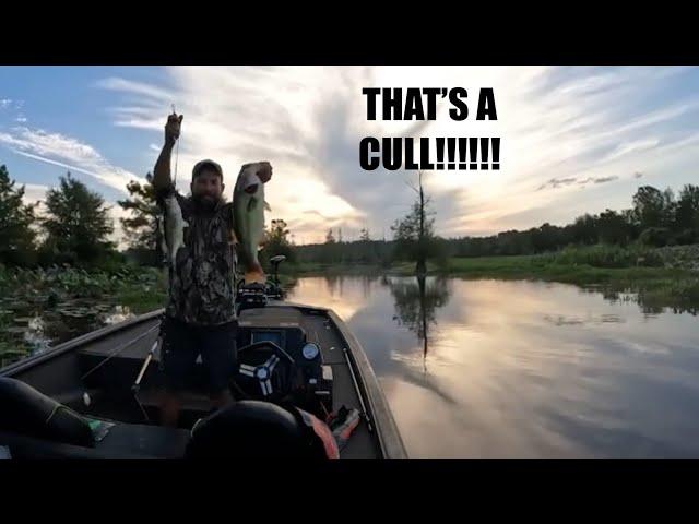 ALL TOPWATER WIN!!! - Lake Millwood VICTORY