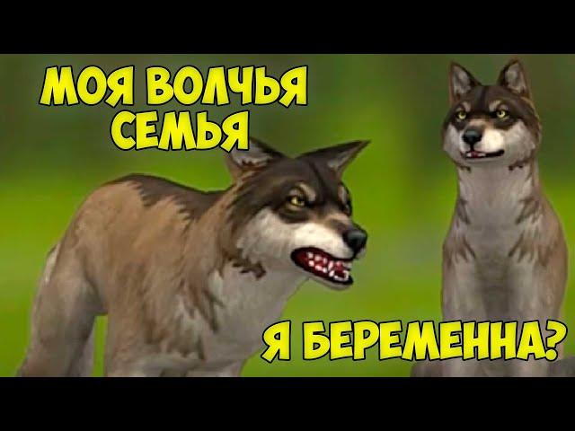 СИМУЛЯТОР жизни ЗВЕРЕЙ - Я беременный ВОЛК в вайлд крафт #1