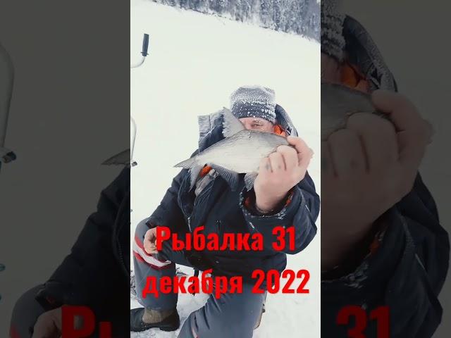 рыбалка 31 декабря 2022