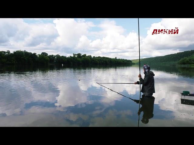 Секреты успеха. Голавль на длинный мах