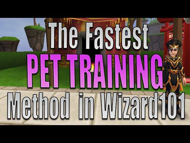 The EASIEST Way to Train a Pet to Max in Wizard101