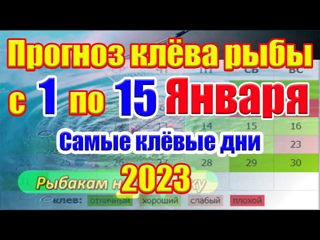 Прогноз клева рыбы на эту неделю с 1 по 15 Января Календарь рыбака на Январь 2023 Прогноз клева рыбы