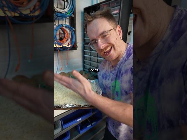 We Turned a Potato into a Gaming Mouse
