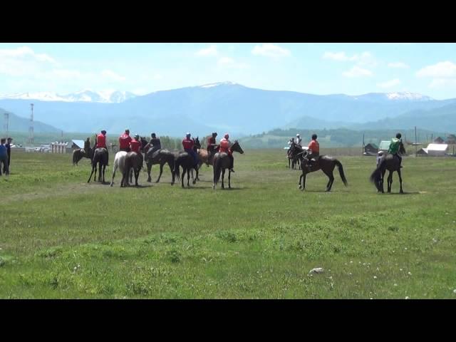 Алтай Усть-Кокса гладкие скачки