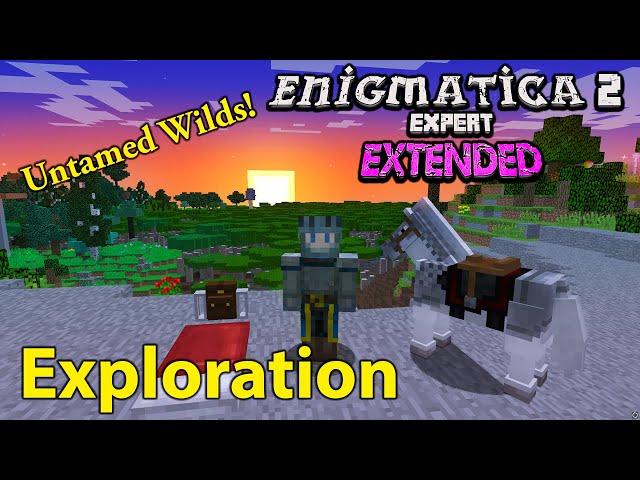 Enigmatica 2 Expert Extended - Exploration [3]