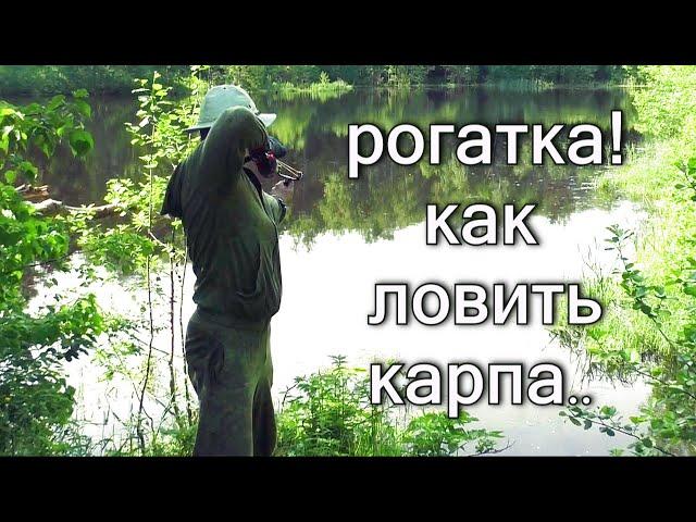 Рогатка! Как ловить карпа..