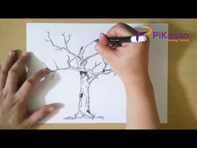 How to Draw a Tree Without Leaves step by step