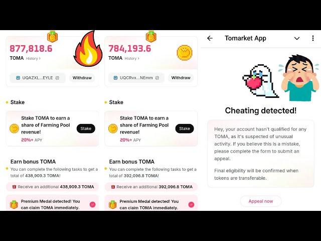 How To Check Tomarket Airdrop Token Allocation ? TOMA Token Price 0.001$ ? Cheating Message