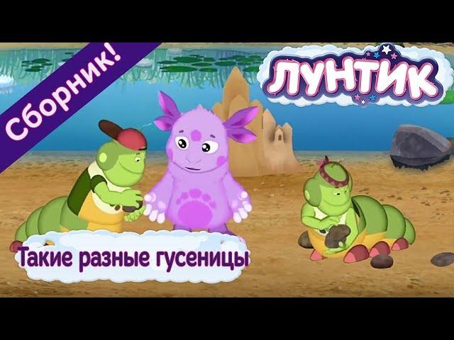 Luntik - Such different caterpillars. Cartoon collection 2017