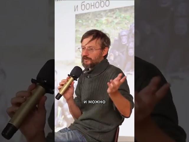 Дикие разборки приматов. Станислав Дробышевский \\  #наука #интервью #саморазвитие #шортс