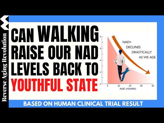 Can WALKING Raise Our NAD Levels Back to YOUTHFUL STATE? | Based On Human Clinical Trial Result