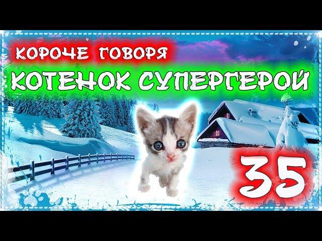 КОРОЧЕ ГОВОРЯ, КОТЕНОК ЛАЙКИ СУПЕР ГЕРОЙ 35 [От первого лица] Бездомный котенок