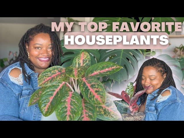 MY TOP FAVORITE PLANTS | My Rare Houseplant Aglaonema Imports that are STUNNING