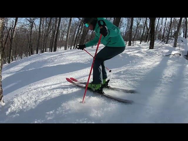 2020 Ski Test - Nordica Enforcer 110 Free Skis