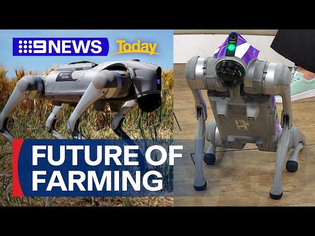 Is robotics the future of farming? | 9 News Australia