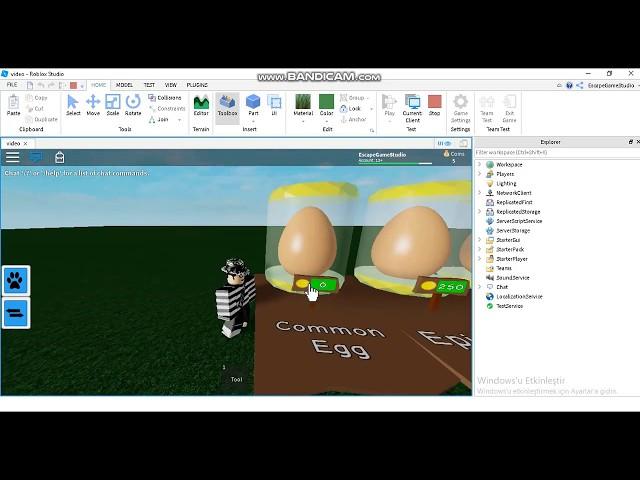 Roblox Studio / Trade,Egg And Pet System