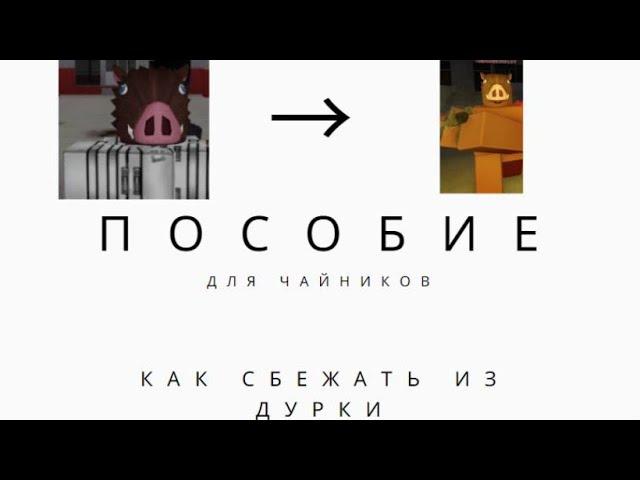 КАК СБЕЖАТЬ ИЗ ДУРКИ (THE ДУРКА РОБЛОКС)