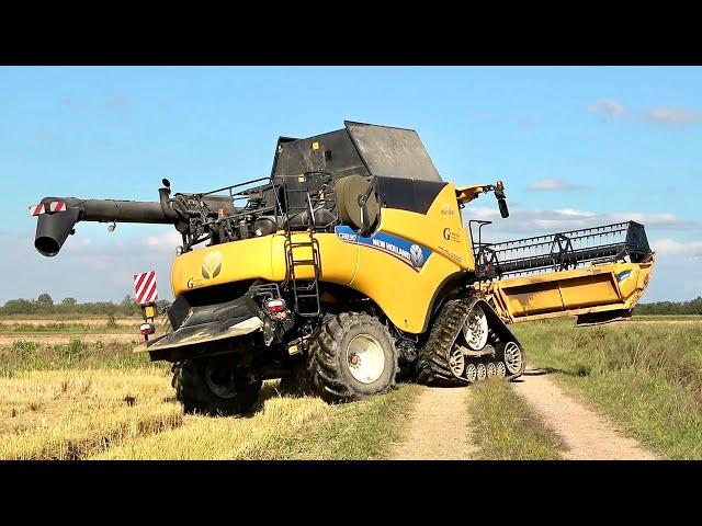 New Holland CR8.90 - TS135A - T6.125S | AZ. CARNEVALE