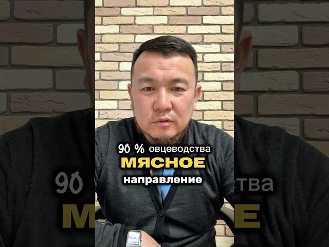 Мясное направление в #овцеводство 90% важно #арашанские_овцы лидируют по живой массе