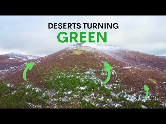 Scotland's Deserts are Turning Green - here's why