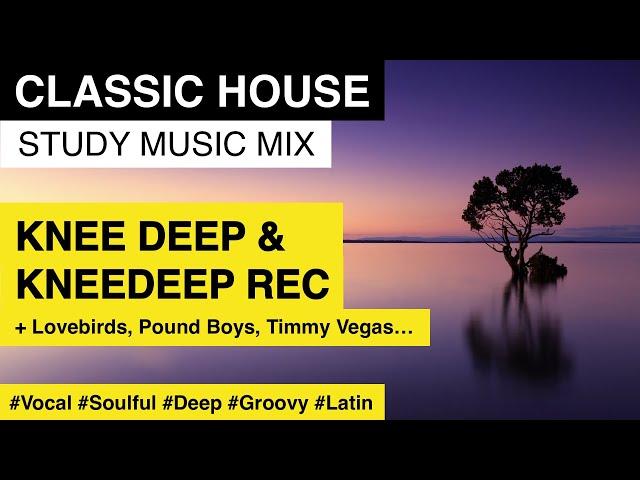 Classic House | Best of KNEE DEEP & KNEEDEEP Recordings | Study Music Mix