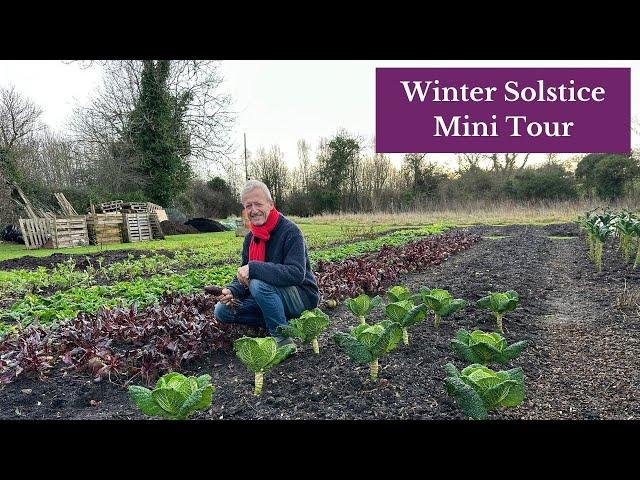 Dark days, bright leaves, seeds and compost