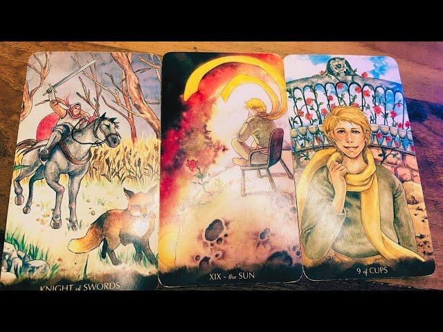 Leo BIG SURPRISES COMING IN…LIFE’S CHANGING INCREDIBLY !!! ️Tarot