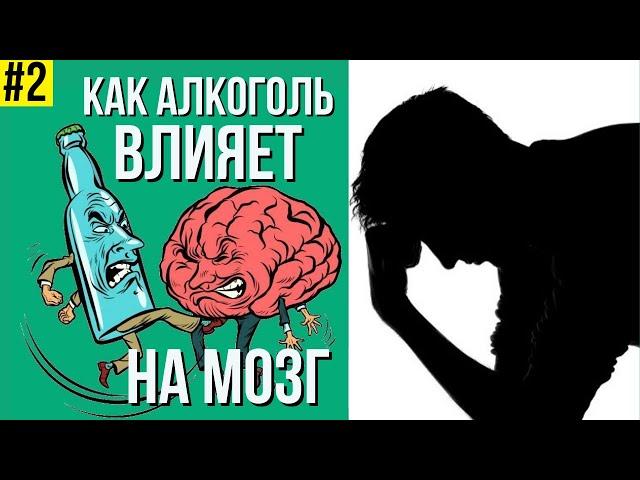 Трезвый образ жизни. Влияние алкоголя на мозг и поведение человека.