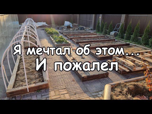 Мой идеальный огород разочаровал меня  Что пошло не так