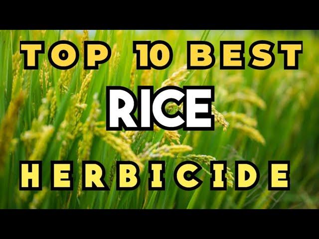 Top 10 Best Herbicide For Rice