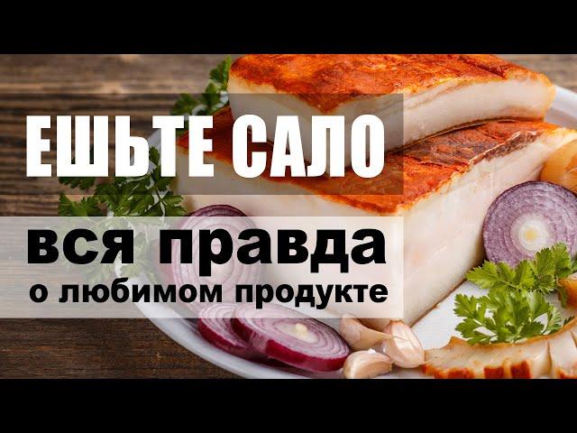 Ешьте сало регулярно – вся правда о любимом продукте